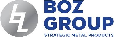 Logo BOZ Group